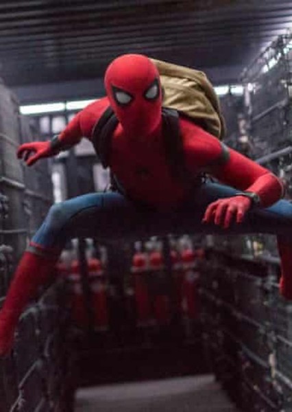 Tom Holland photo