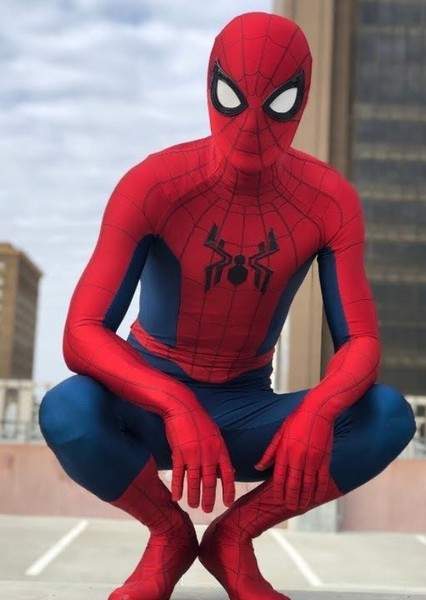 Tom Holland photo