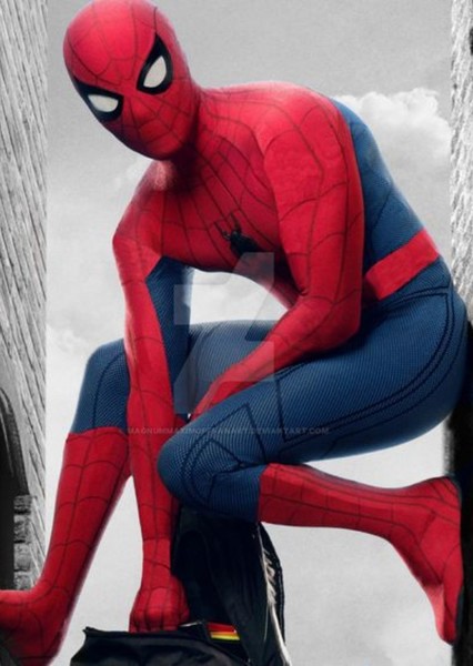 Tom Holland photo