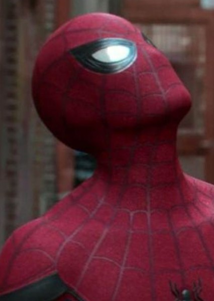 Tom Holland photo