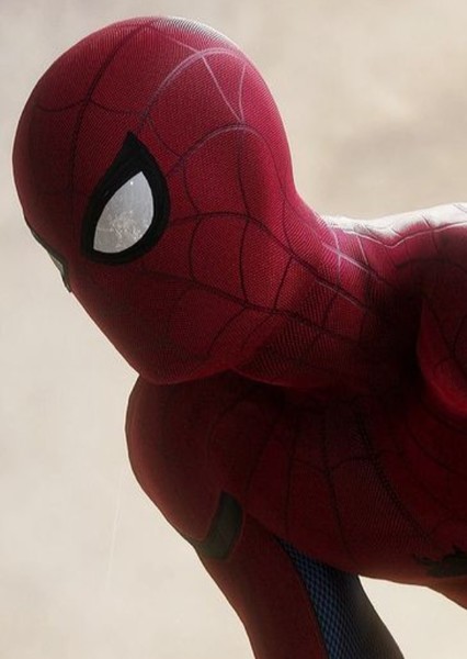 Tom Holland photo