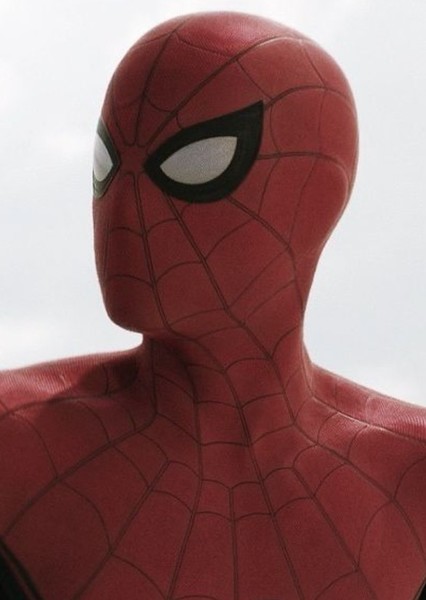 Tom Holland photo