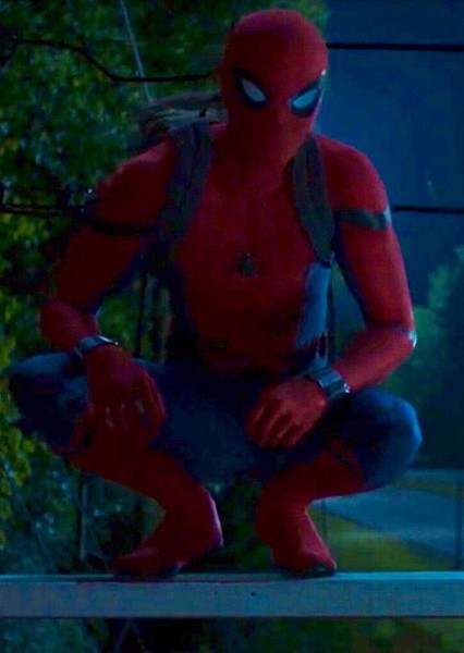 Tom Holland photo