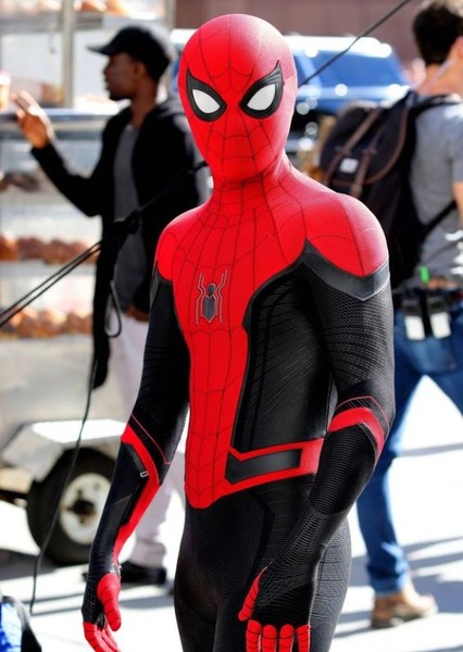 Tom Holland photo