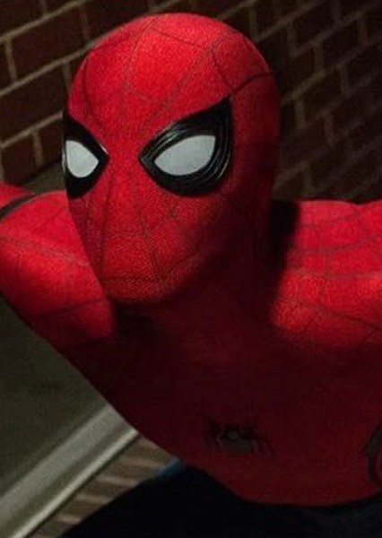 Tom Holland photo