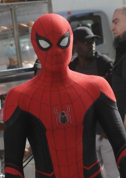 Tom Holland photo
