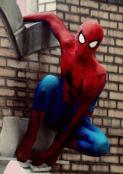 Tom Holland photo