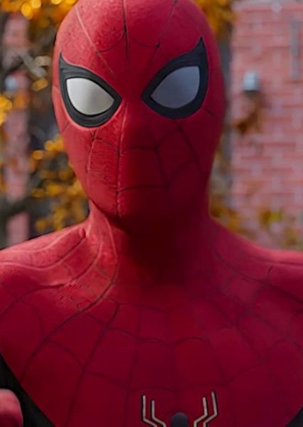 Tom Holland photo