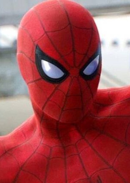 Tom Holland photo