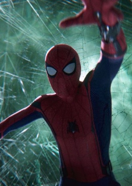 Tom Holland photo