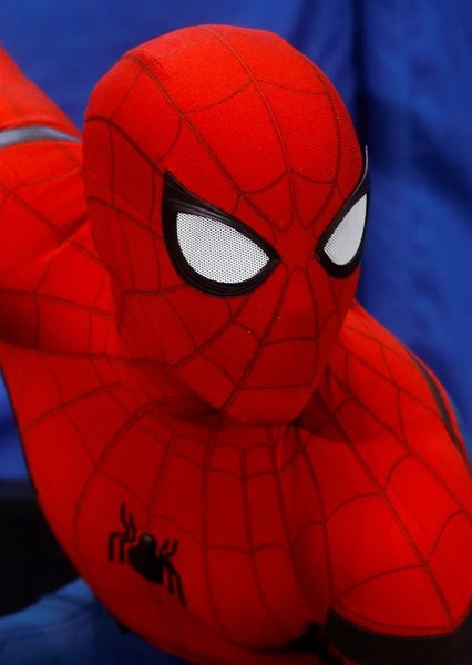 Tom Holland photo