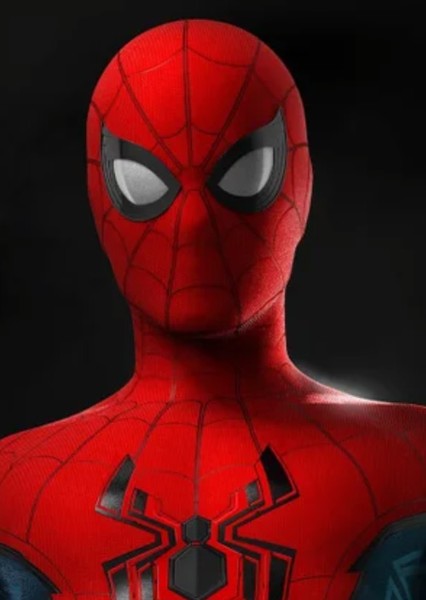 Tom Holland photo