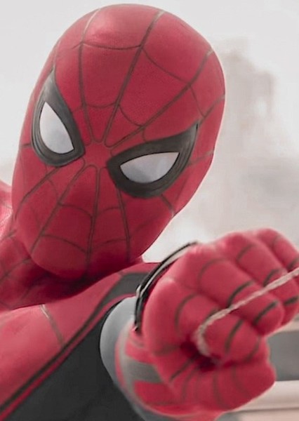 Tom Holland photo