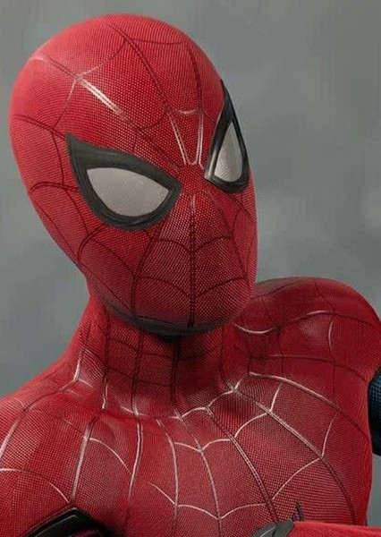 Tom Holland photo