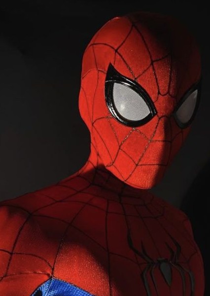 Tom Holland photo