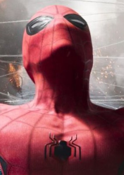 Tom Holland photo