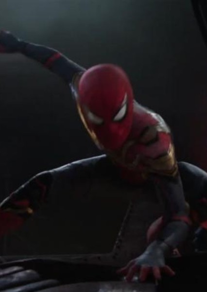 Tom Holland photo