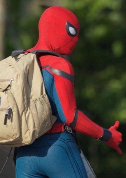 Tom Holland photo