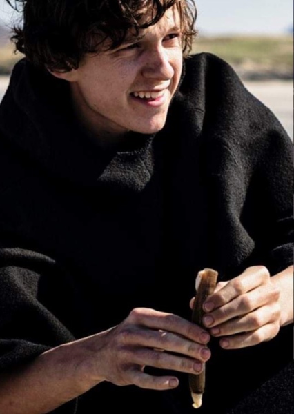 Tom Holland photo