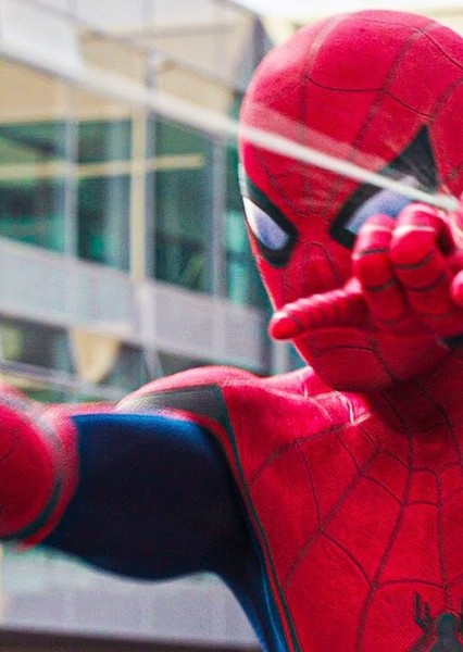 Tom Holland photo