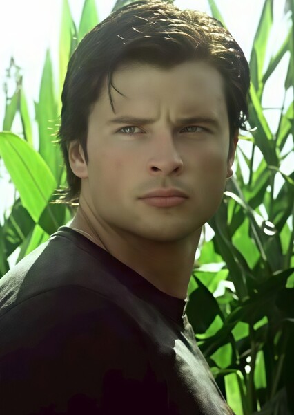 Tom Welling photo