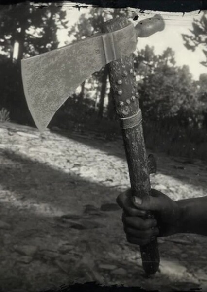 Tomahawk photo