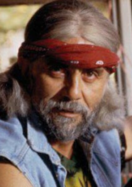 Tommy Chong photo