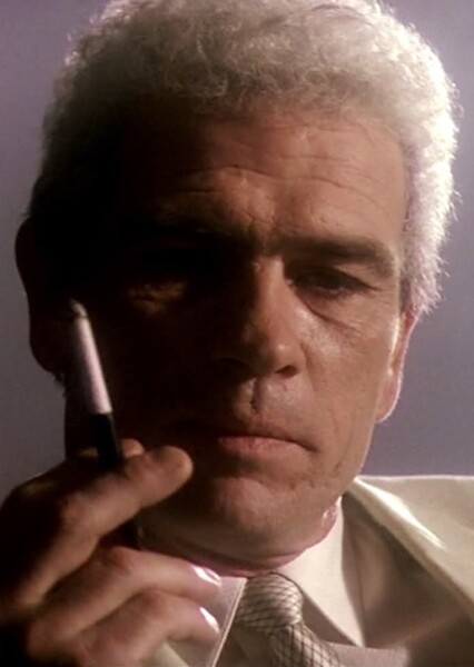 Tommy Lee Jones photo