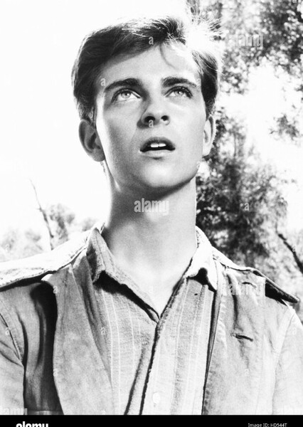 Tommy Rettig photo