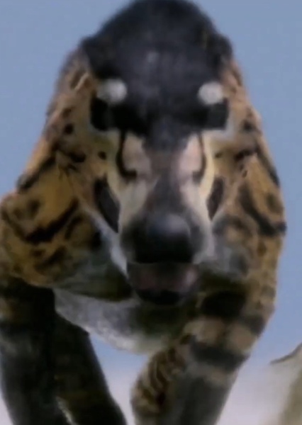 Tony Hale photo