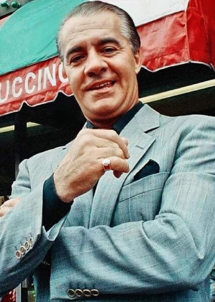 Tony Sirico photo