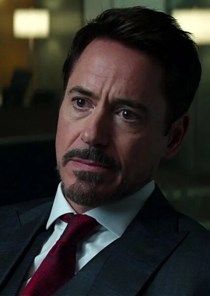 Tony Stark/Iron Man photo