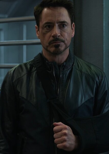 Tony Stark/Iron Man photo
