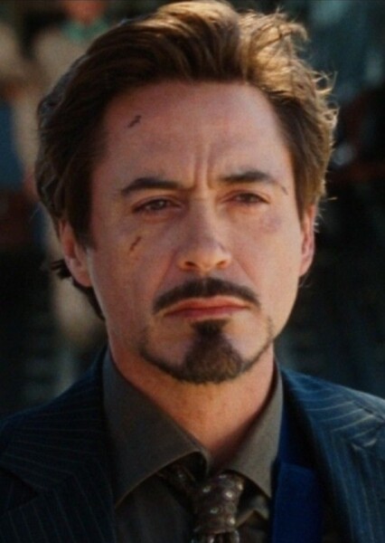 Tony Stark/Iron Man photo