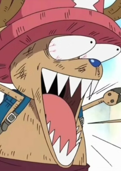 Tony Tony Chopper photo