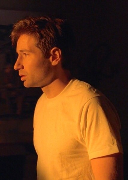 Tooms photo