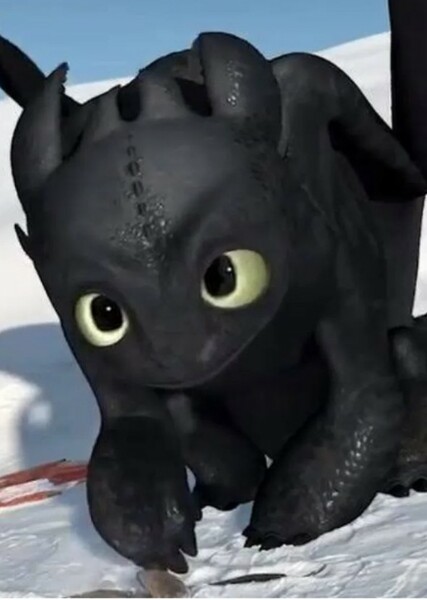 Toothless photo