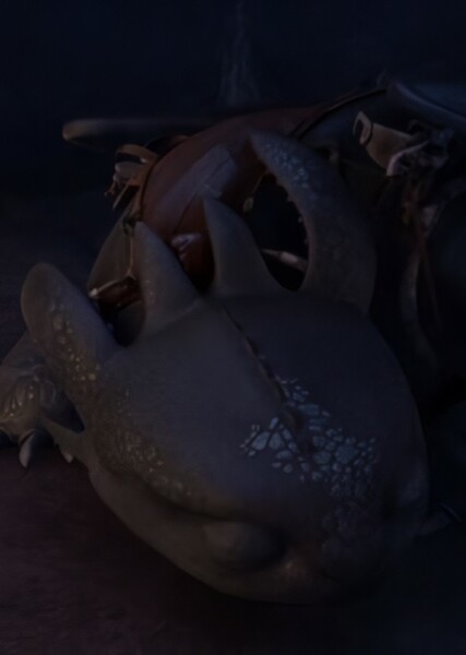 Toothless photo