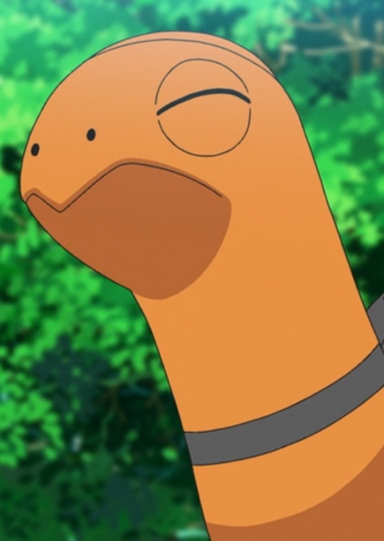 Torkoal photo