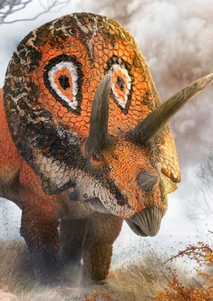 Torosaurus photo