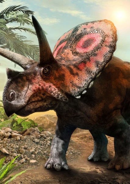 Torosaurus photo