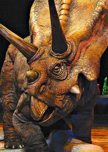 Torosaurus photo