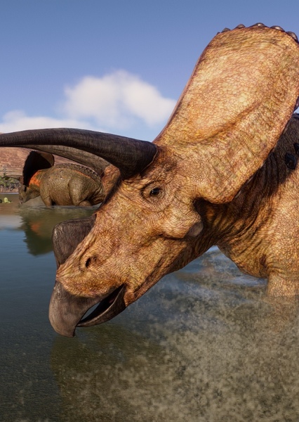 Torosaurus photo