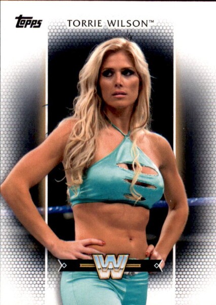 Torrie Wilson photo
