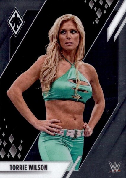Torrie Wilson photo