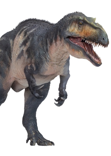 Torvosaurus photo