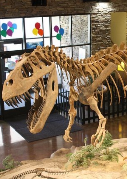 Torvosaurus photo