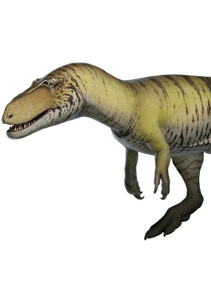 Torvosaurus photo
