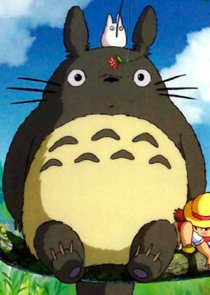 Totoro photo