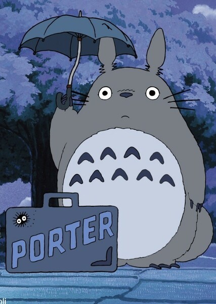 Totoro photo